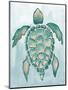 Aquatic Turtle I-Elizabeth Medley-Mounted Art Print