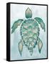 Aquatic Turtle I-Elizabeth Medley-Framed Stretched Canvas