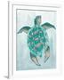 Aquatic Turtle II-Elizabeth Medley-Framed Art Print