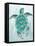 Aquatic Turtle II-Elizabeth Medley-Framed Stretched Canvas