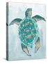 Aquatic Turtle II-Elizabeth Medley-Stretched Canvas