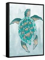 Aquatic Turtle II-Elizabeth Medley-Framed Stretched Canvas