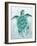 Aquatic Turtle II-Elizabeth Medley-Framed Art Print