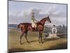 Aquatint by Thomas Sutherland After Barefoot, Winner 1823-John Frederick Herring I-Mounted Premium Giclee Print