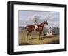 Aquatint by Thomas Sutherland After Barefoot, Winner 1823-John Frederick Herring I-Framed Giclee Print