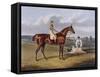 Aquatint by Thomas Sutherland After Barefoot, Winner 1823-John Frederick Herring I-Framed Stretched Canvas