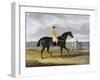 Aquatint by Thomas Sutherland After Jack Spigot, Winner 1821-John Frederick Herring I-Framed Giclee Print