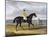 Aquatint by Thomas Sutherland After Jack Spigot, Winner 1821-John Frederick Herring I-Mounted Giclee Print
