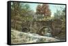 Aqueduct of San Jose Mission, Texas-null-Framed Stretched Canvas