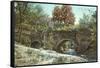 Aqueduct of San Jose Mission, Texas-null-Framed Stretched Canvas