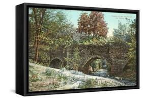 Aqueduct of San Jose Mission, Texas-null-Framed Stretched Canvas