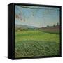 Aqueduct Park, 2011-Noel Paine-Framed Stretched Canvas