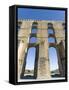 Aqueduto da Amoreira, Elvas in the Alentejo. Portugal-Martin Zwick-Framed Stretched Canvas
