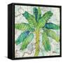 Aqueous Palm II-Paul Brent-Framed Stretched Canvas