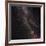 Aquila Constellation-Eckhard Slawik-Framed Photographic Print