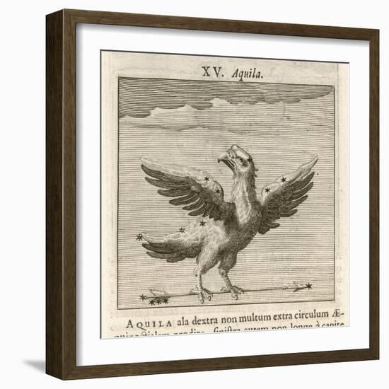 Aquila the Eagle-Gaius Julius Hyginus-Framed Art Print