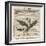 Aquila the Eagle-Gaius Julius Hyginus-Framed Art Print