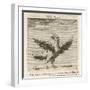 Aquila the Eagle-Gaius Julius Hyginus-Framed Art Print