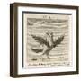 Aquila the Eagle-Gaius Julius Hyginus-Framed Art Print