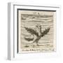 Aquila the Eagle-Gaius Julius Hyginus-Framed Art Print