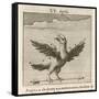 Aquila the Eagle-Gaius Julius Hyginus-Framed Stretched Canvas