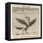 Aquila the Eagle-Gaius Julius Hyginus-Framed Stretched Canvas