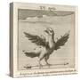 Aquila the Eagle-Gaius Julius Hyginus-Stretched Canvas