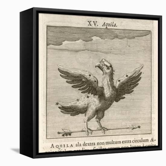 Aquila the Eagle-Gaius Julius Hyginus-Framed Stretched Canvas