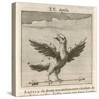 Aquila the Eagle-Gaius Julius Hyginus-Stretched Canvas