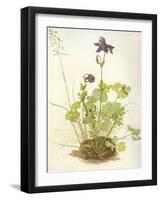 Aquilegia, 1526-Albrecht Dürer-Framed Giclee Print