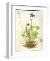 Aquilegia, 1526-Albrecht Dürer-Framed Giclee Print