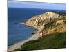 Aquinnah (Gay Head) Cliffs, Martha's Vineyard, Massachusetts, USA-Charles Gurche-Mounted Photographic Print