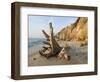 Aquinnah, Gay Head, Martha's Vineyard, Massachusetts, USA-Walter Bibikow-Framed Photographic Print