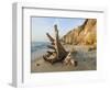 Aquinnah, Gay Head, Martha's Vineyard, Massachusetts, USA-Walter Bibikow-Framed Photographic Print