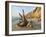 Aquinnah, Gay Head, Martha's Vineyard, Massachusetts, USA-Walter Bibikow-Framed Photographic Print