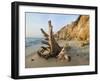 Aquinnah, Gay Head, Martha's Vineyard, Massachusetts, USA-Walter Bibikow-Framed Photographic Print