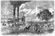 Sugar Plantation, New Orleans, 1870-AR Ward-Stretched Canvas