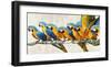 Ara parade-Teo Rizzardi-Framed Art Print