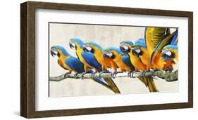 Ara parade-Teo Rizzardi-Framed Art Print