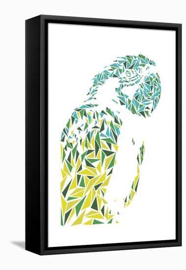 Ara Parrot-Cristian Mielu-Framed Stretched Canvas