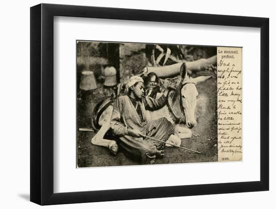 Arab Boy with Donkey, Egypt-null-Framed Photographic Print