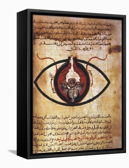 Arab Eye Treatise-null-Framed Stretched Canvas