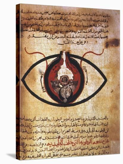Arab Eye Treatise-null-Stretched Canvas