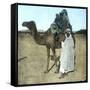 Arab Family on a Camel, Biskra (Algeria)-Leon, Levy et Fils-Framed Stretched Canvas