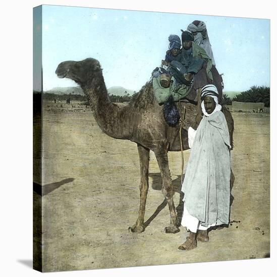 Arab Family on a Camel, Biskra (Algeria)-Leon, Levy et Fils-Stretched Canvas