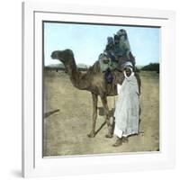 Arab Family on a Camel, Biskra (Algeria)-Leon, Levy et Fils-Framed Photographic Print