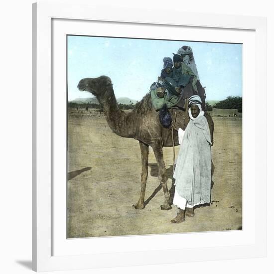 Arab Family on a Camel, Biskra (Algeria)-Leon, Levy et Fils-Framed Photographic Print