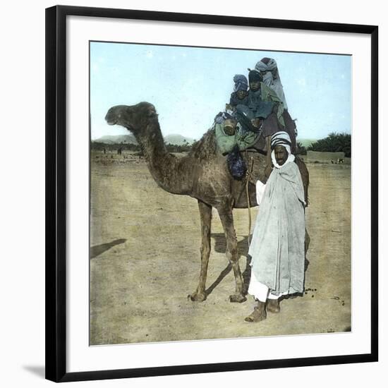 Arab Family on a Camel, Biskra (Algeria)-Leon, Levy et Fils-Framed Photographic Print