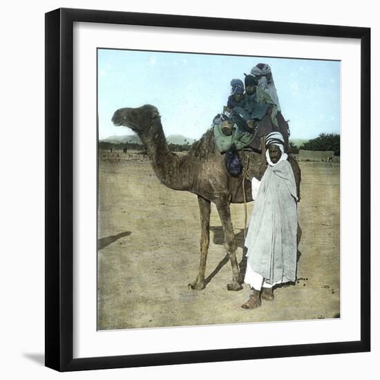 Arab Family on a Camel, Biskra (Algeria)-Leon, Levy et Fils-Framed Photographic Print