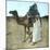 Arab Family on a Camel, Biskra (Algeria)-Leon, Levy et Fils-Mounted Photographic Print